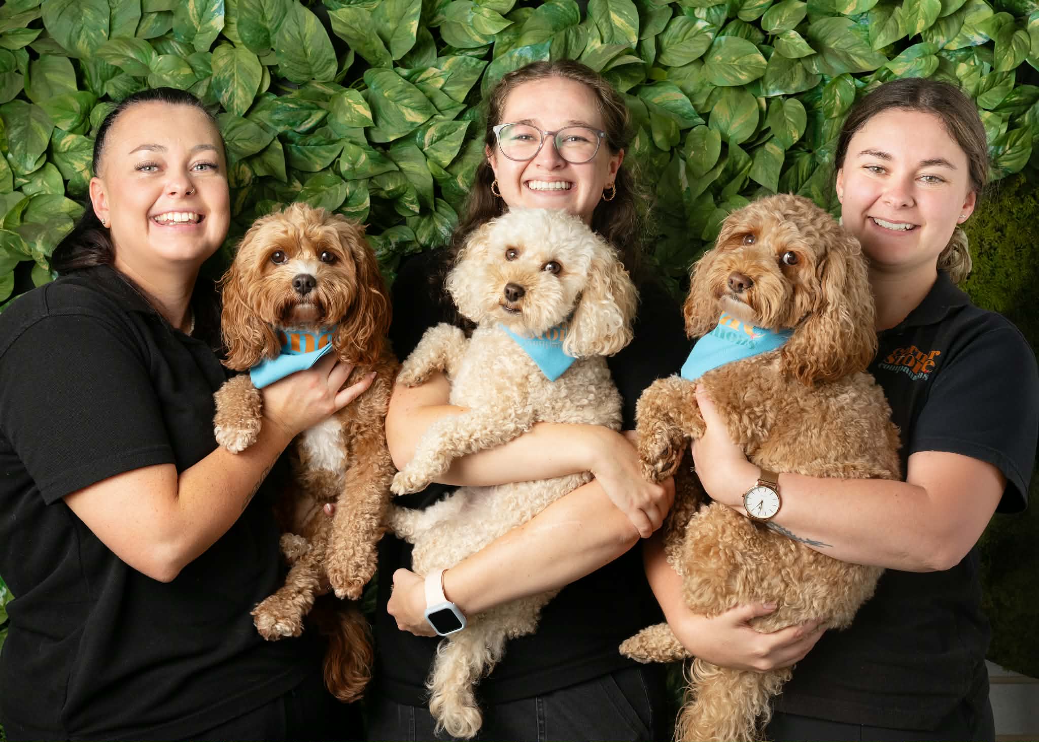 Cornerstone Companions team members with their therapy dogs